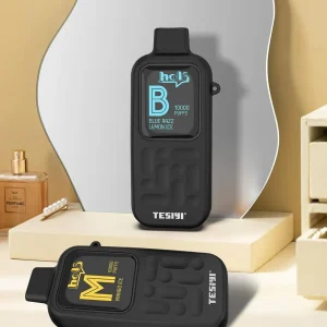 TESIYI HELO 10000PUFFS DISPOSABLE VAPE
