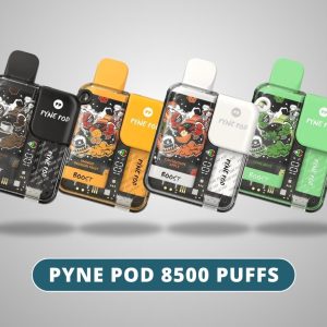 PYNE POD 8500 PUFFS DISPOSABLE VAPE