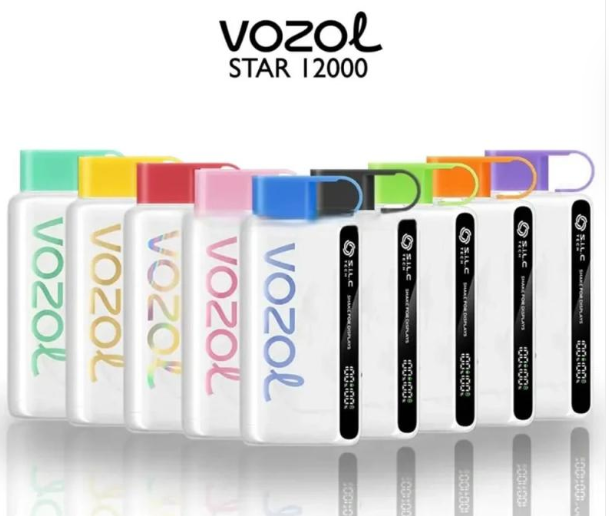 VOZOL STAR 12000 PUFFS DISPOSABLE VAPE UAE