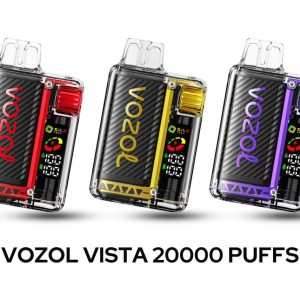 VOZOL Vista 20000 Puffs