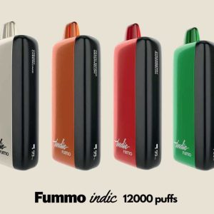 FUMMO Indic 12000 Puffs Disposable Vape