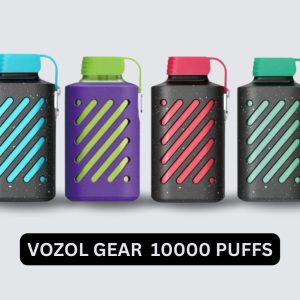 VOZOL GEAR 10000 DISPOSABLE