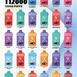 TUGBOAT T12000 12000 Puffs Disposable Vape Dubai